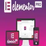 Elementor Pro