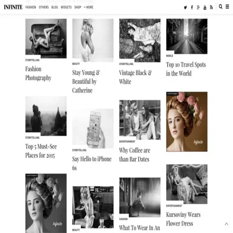 Infinite Theme Themify