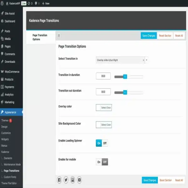 Kadence Page Transitions