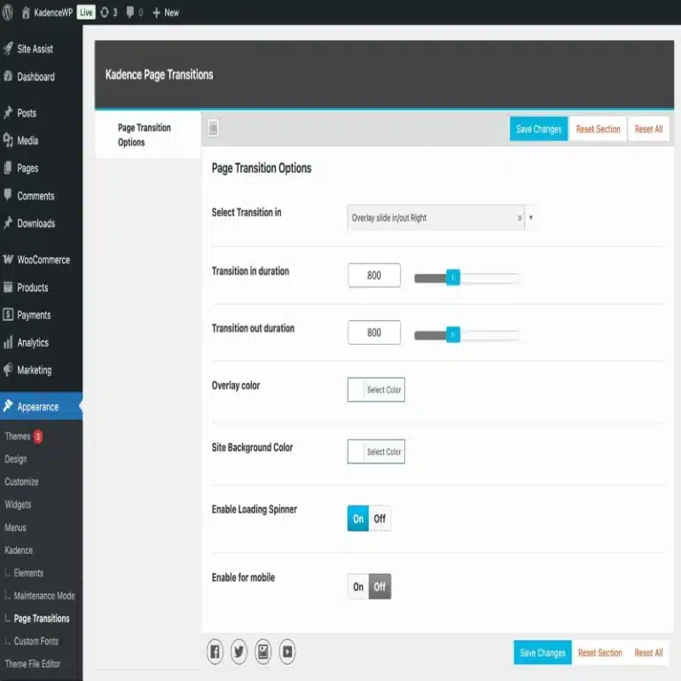 Kadence Page Transitions