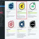 Mailchimp Addon for Gravity Forms
