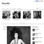 ThemeMin Theme Themify