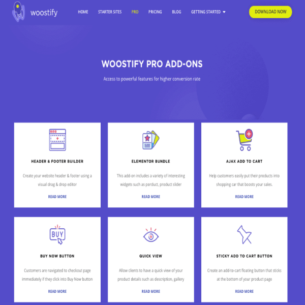 _Woostify Pro